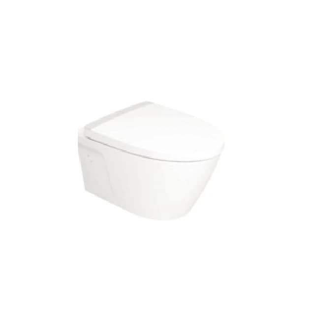 American Standard Back to Wall/Wall Hung Toilet