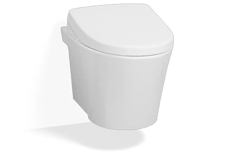 TOTO 210 mm Single Bowl Flush Valve Toilet