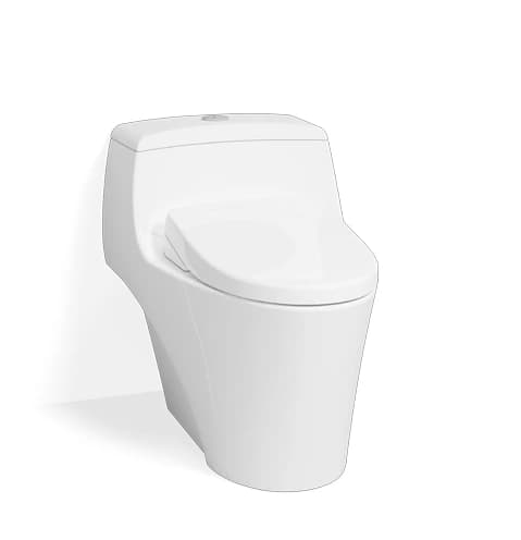TOTO Rough-In 305 mm (S-Trap) One Piece Toilet