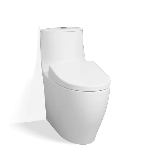 TOTO Rough-In 305 mm (S-Trap) One Piece Toilet