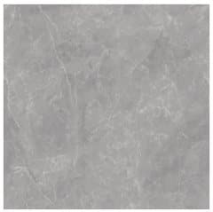 Roman Granit GT1009753FR 100x100 Tidak dicantumkan Lantai warna GT1009753FR