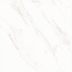 Roman Granit GT1009750FR 100x100 Tidak dicantumkan Lantai warna GT1009750FR