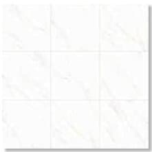 Roman Granit Salvadori White 80x80 Polished Lantai warna Salvadori White