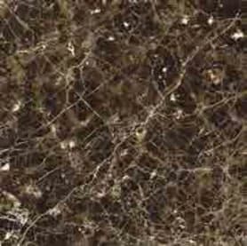 Valentino Gress DAMASCO 60x60 Polished warna DARK BROWN