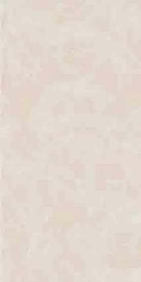 Valentino Gress SAVANA 60x120 Polished warna CREAM