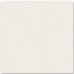 Roman Granit Ritz Beige 60x60 Polished Lantai warna Ritz Beige