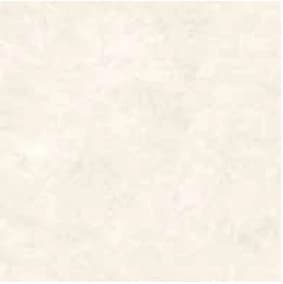 Platinum Havana 50x50 Glossy warna Cream