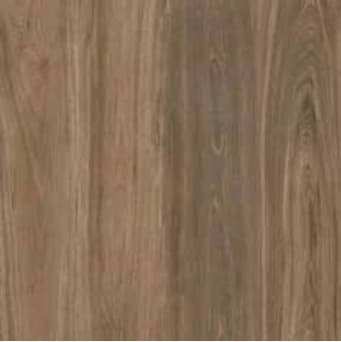 Platinum Safari 60x60 Glossy warna Brown
