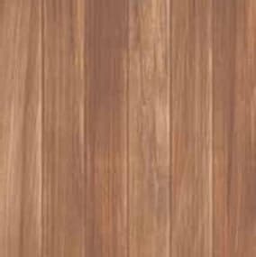 Platinum Darwin 50x50 Matt warna Brown