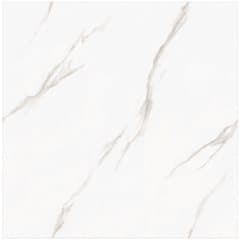 Roman Granit GT1009756FR 100x100 Tidak dicantumkan Lantai warna GT1009756FR