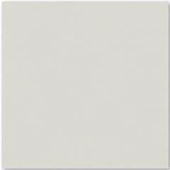 Roman Granit Bern Ivory 80x80 Tidak dicantumkan Lantai warna Bern Ivory