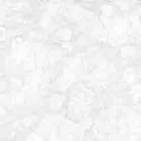 Valentino Gress TEXAS 60x60 Tidak tercantum warna WHITE