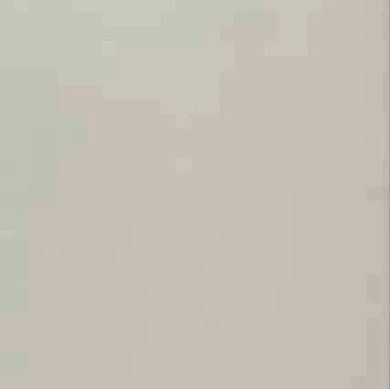 Colmar NINN BASIL BONE 60x60 Matt RUSTIC warna MATT