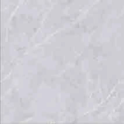 Colmar NINN AMARYLIS 60x60 Polished GLAZED POLISHED warna LIGHT GREY