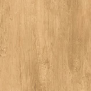 Essenza Elm Wood warna Matt