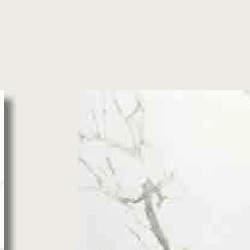 Remo RIZZO 60x60 Tidak tercantum Granit warna WHITE