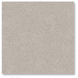 Roman dBrisbane Grigio · G447323 40x40 Matt Lantai warna Grigio