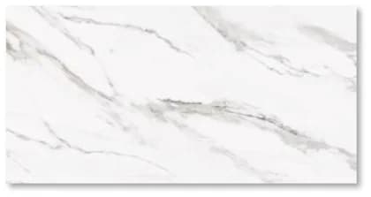Roman dAntilia Carrara · W63364R 30x60 Glossy Dinding warna Carrara