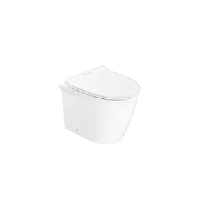 American Standard Back to Wall/Wall Hung Toilet