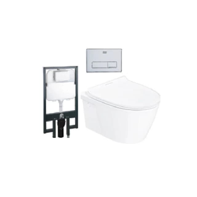 American Standard Back to Wall/Wall Hung Toilet