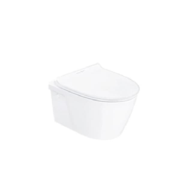 American Standard Back to Wall/Wall Hung Toilet