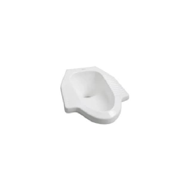 American Standard Squat / Flush Toilet warna White