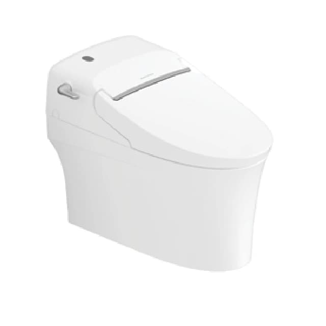 American Standard rough-in 305mm Shower Toilet