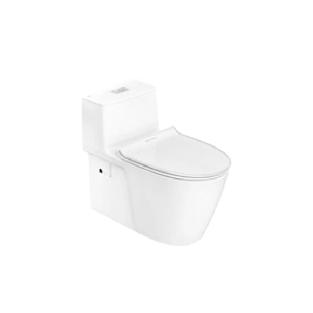 American Standard rough-in 305mm One Piece Toilet
