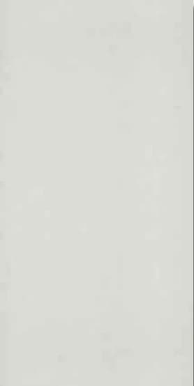 Valentino Gress GRATON 60x120 Matt warna BIANCO