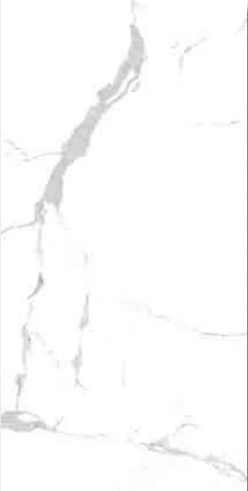 Valentino Gress ARABESCATO MARBLE 60x120 Polished warna -