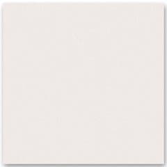Roman Granit Ritz Crema 60x60 Gloss On Matt Lantai warna Ritz Crema