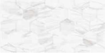 Platinum Tracy 30x60 Glossy Embossed warna Grey