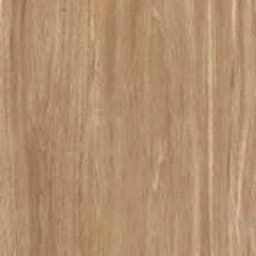 Platinum Asher 40x40 Matt warna Brown