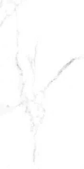Colmar NINN VENA 60x120 Polished / Matt GLAZED POLISHED warna BIANCO