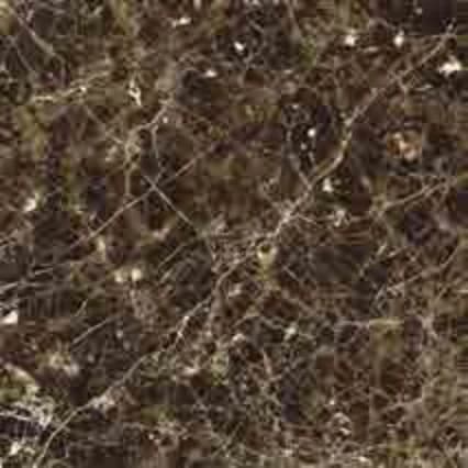 Colmar NINN DAMASCO 60x60 Polished GLAZED POLISHED warna DARK BROWN