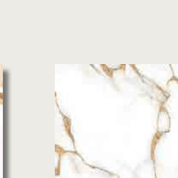 Remo ROYCE 60x60 Tidak tercantum Granit warna BIANCO
