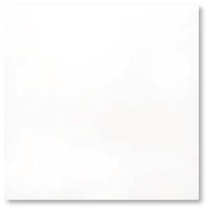 Roman Vivaz White · G447105 40x40 Matt Lantai warna White